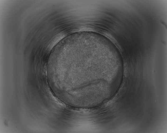 X0000100501241200807031933