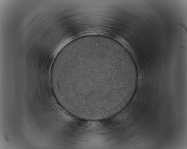 X0000100501242200807031933