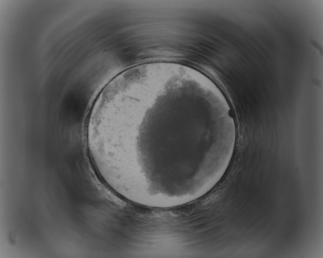 X0000100501243200807031933