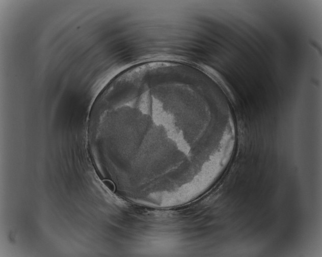 X0000100501244200807031933