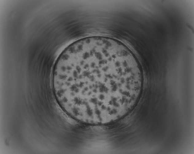 X0000100501246200807031933