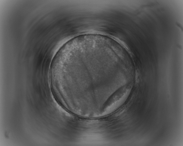 X0000100501247200807031933