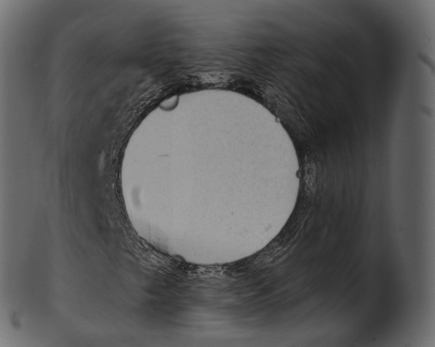 X0000100501249200807031932