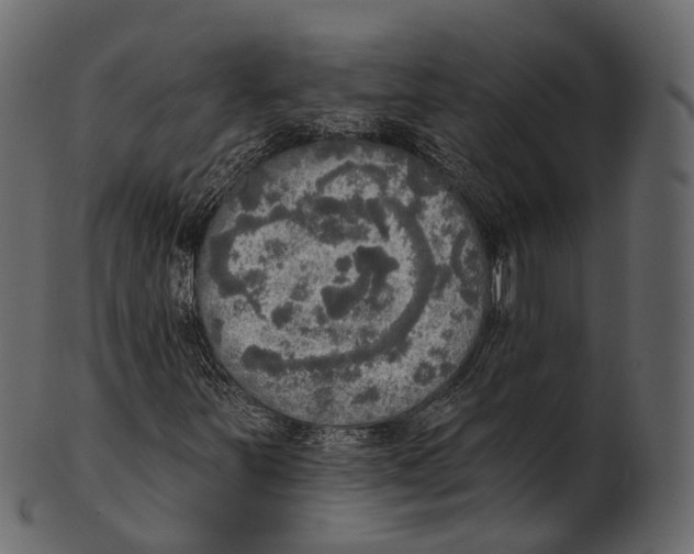 X0000100501251200807031932