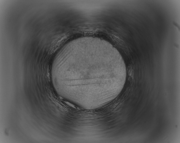 X0000100501252200807031932