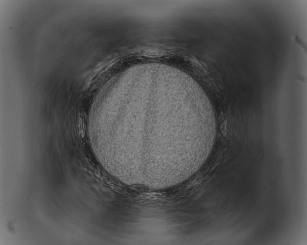 X0000100501253200807031932