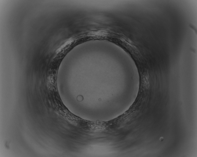 X0000100501254200807031932