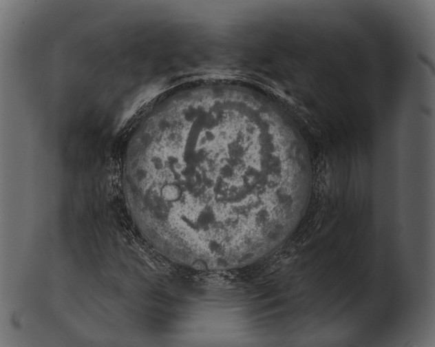 X0000100501255200807031932