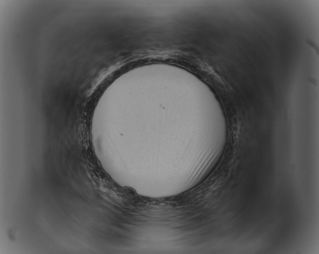 X0000100501256200807031932