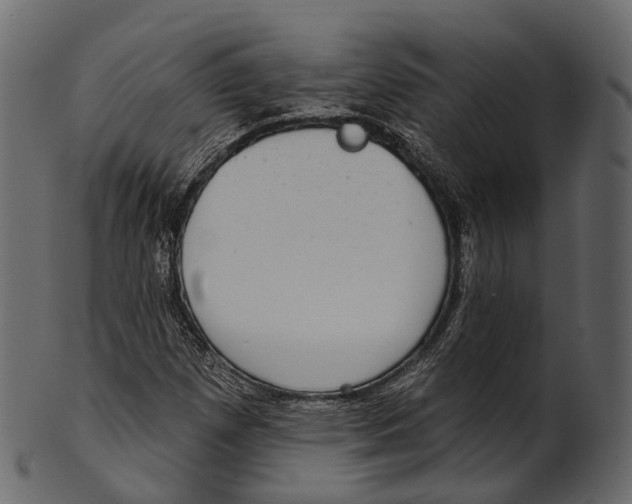 X0000100501257200807031932