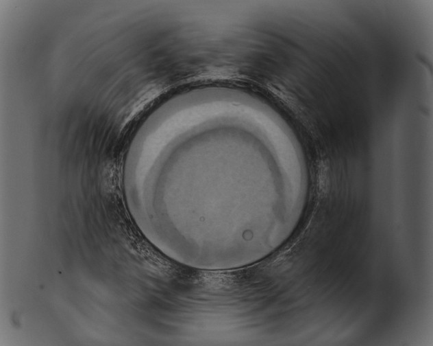 X0000100501258200807031932