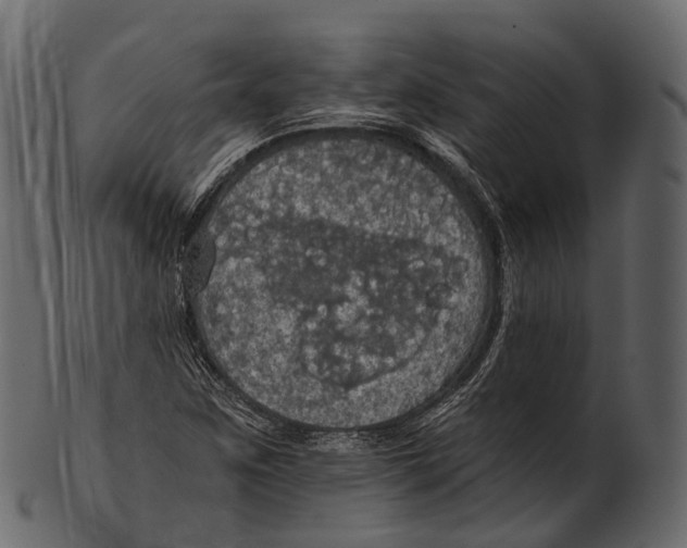 X0000100501259200807031932