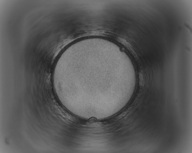 X0000100501260200807031932