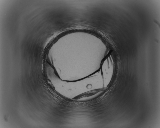 X0000100501262200807031932