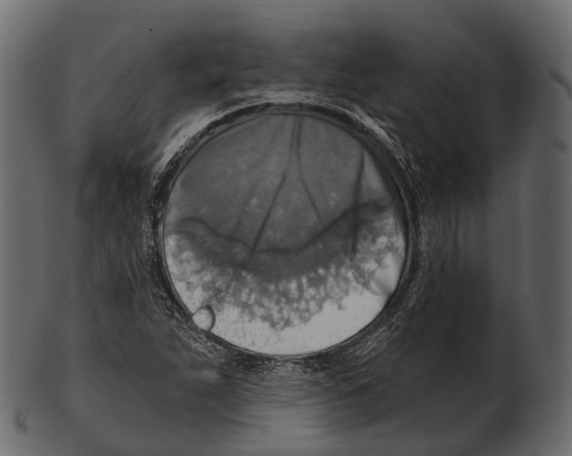 X0000100501263200807031932