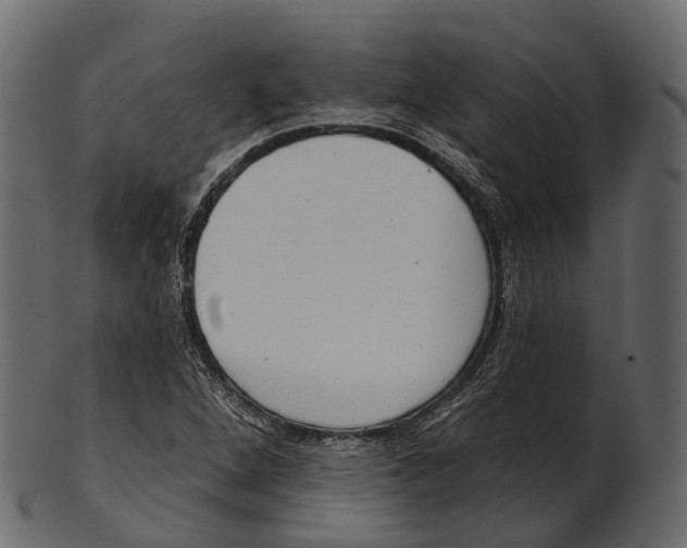 X0000100501264200807031932