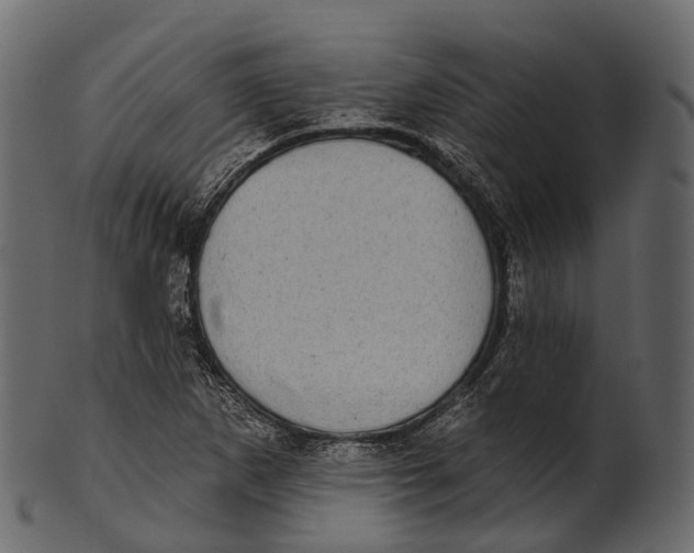 X0000100501265200807031932