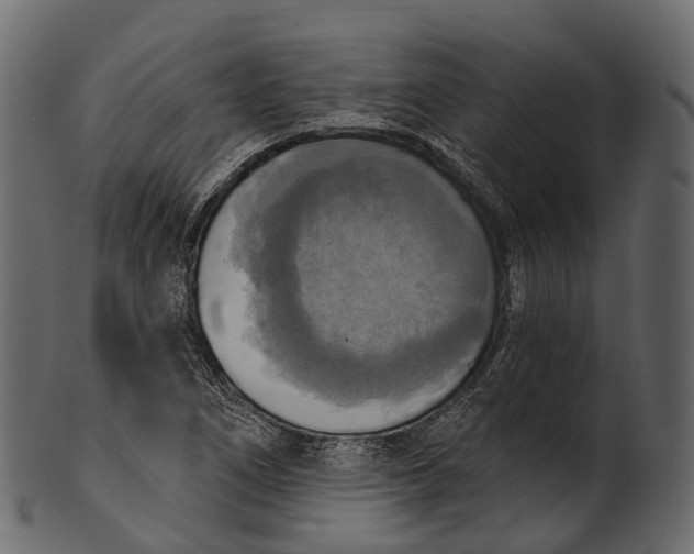 X0000100501266200807031932