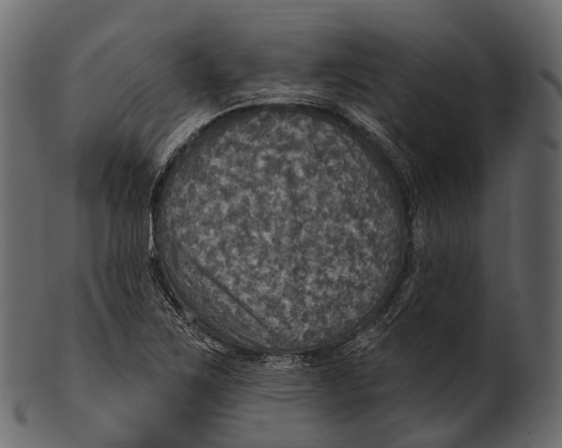 X0000100501267200807031932