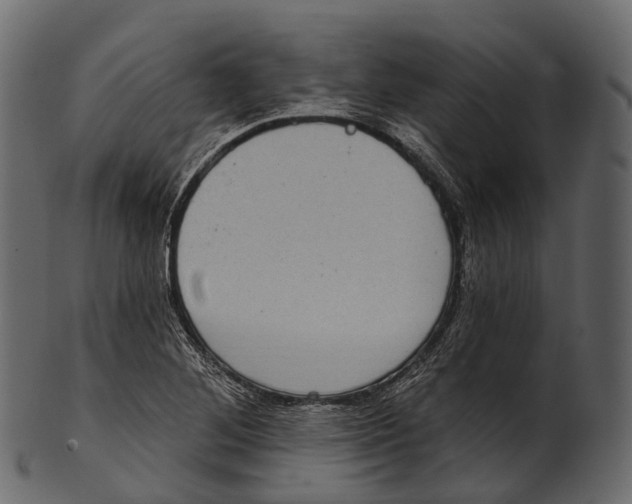 X0000100501268200807031932