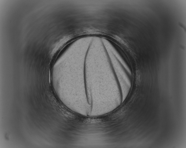 X0000100501269200807031932