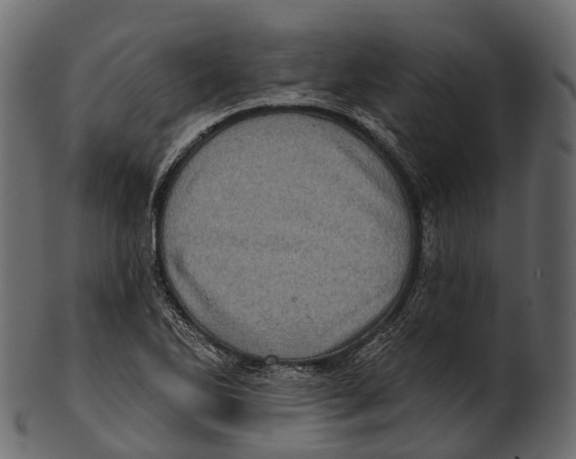 X0000100501270200807031932