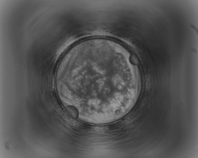 X0000100501271200807031931