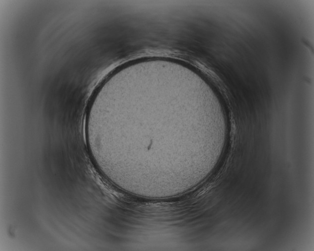 X0000100501272200807031931