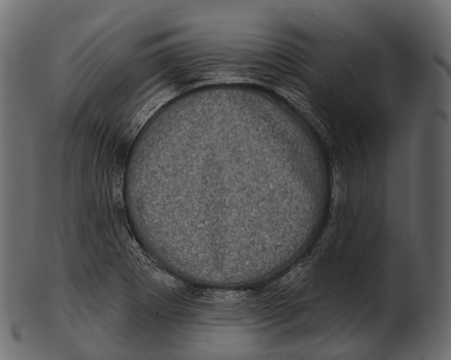 X0000100501273200807031931