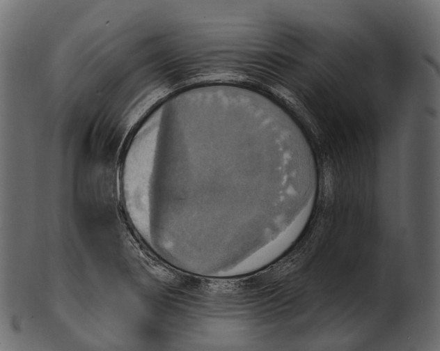 X0000100501274200807031931