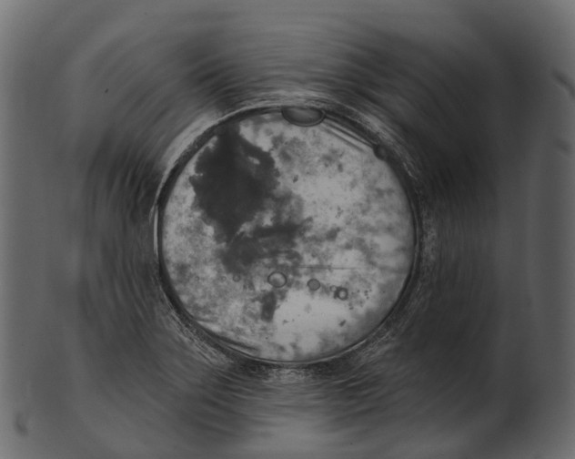 X0000100501275200807031931