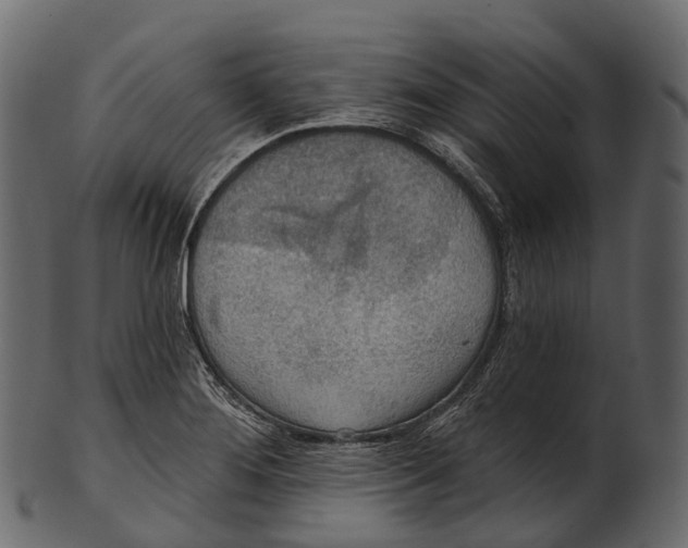 X0000100501276200807031931