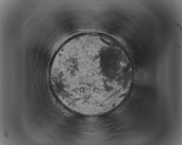 X0000100501279200807031931