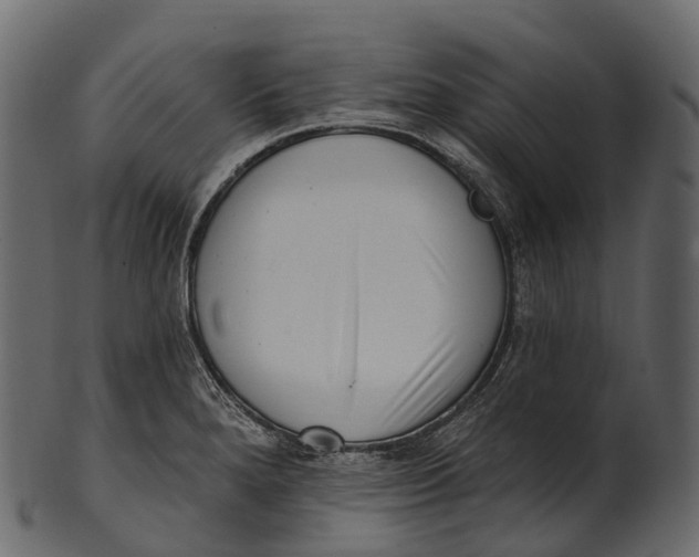 X0000100501280200807031931