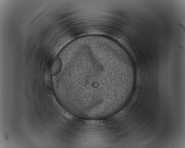 X0000100501281200807031931