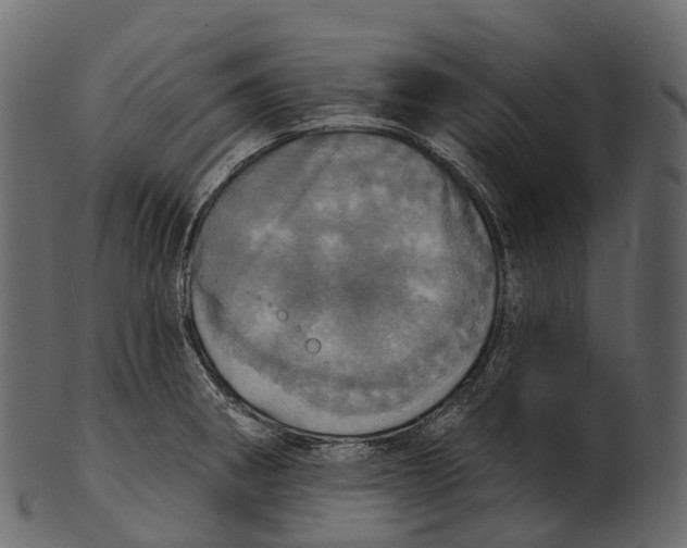 X0000100501282200807031931