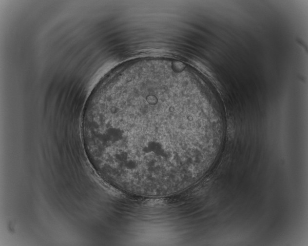 X0000100501283200807031931