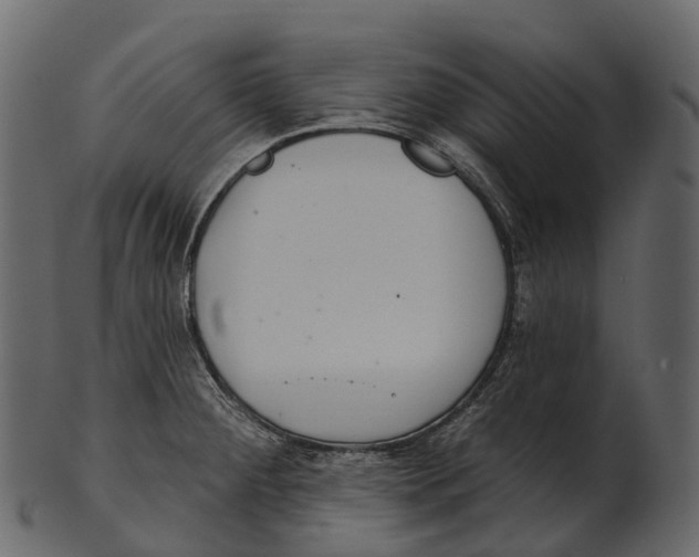 X0000100501284200807031931