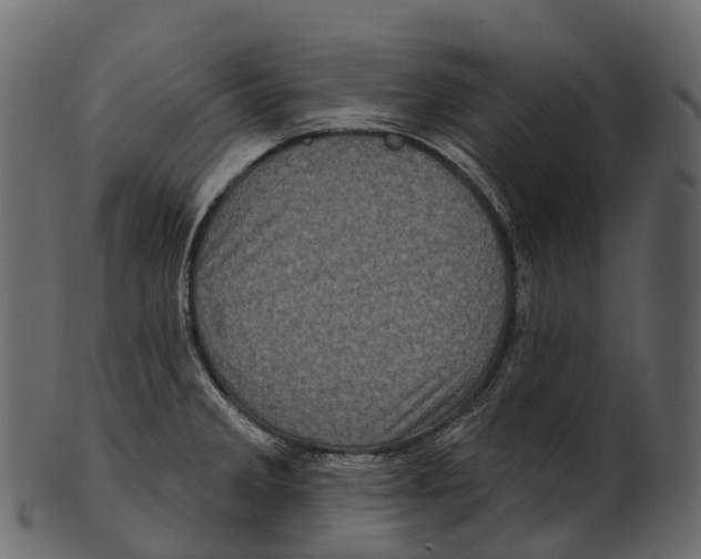 X0000100501285200807031931