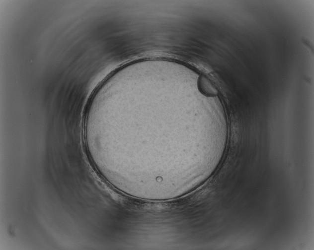 X0000100501286200807031931