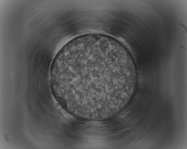 X0000100501287200807031931