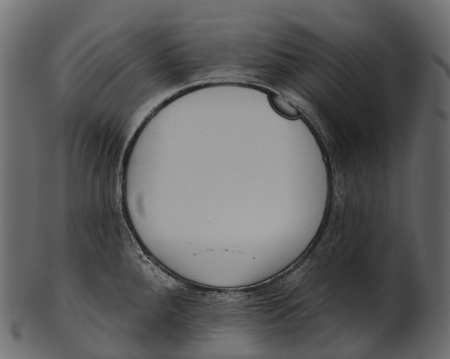 X0000100501288200807031931