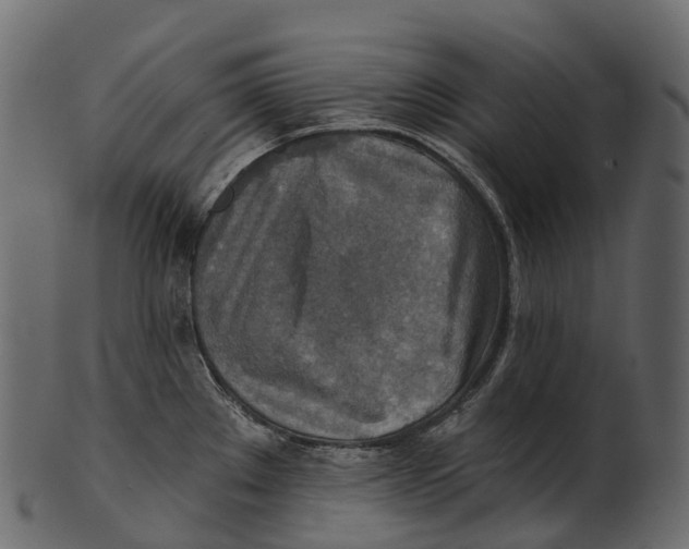 X0000100501289200807031931