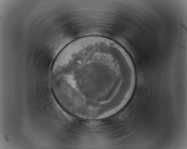 X0000100501290200807031931