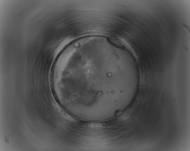 X0000100501291200807031931