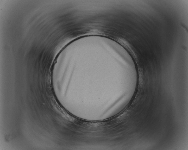 X0000100501292200807031931