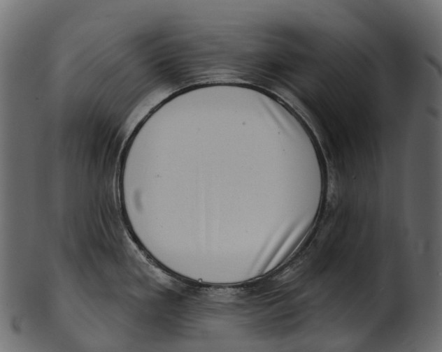 X0000100501293200807031931