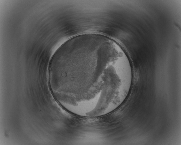 X0000100501294200807031931