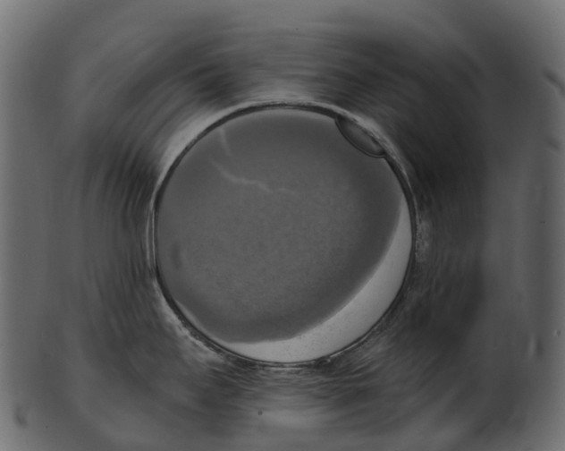 X0000100501295200807031931