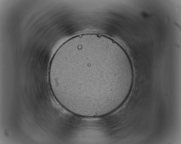 X0000100501296200807031931